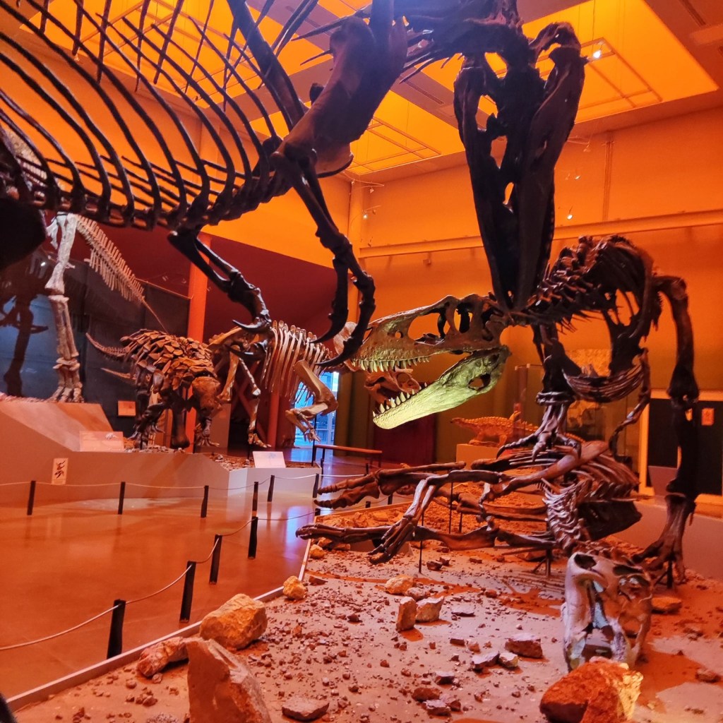 Invita Secretaría de Cultura a visitar el Museo del Desierto&nbsp;Chihuahuense