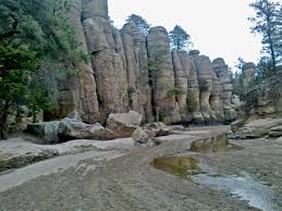 Este domingo la Carrera Majalca Endurance Race&nbsp;2024