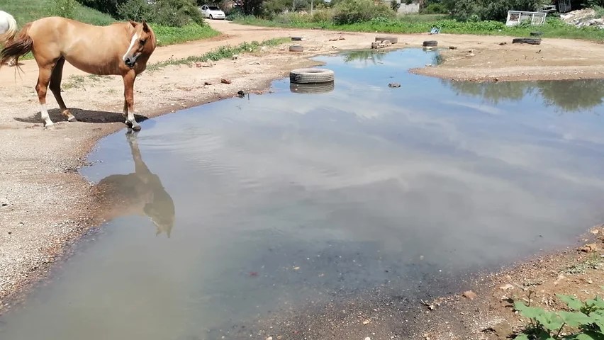 Colapsan drenajes en la ciudad por lluvias:&nbsp;JMAS