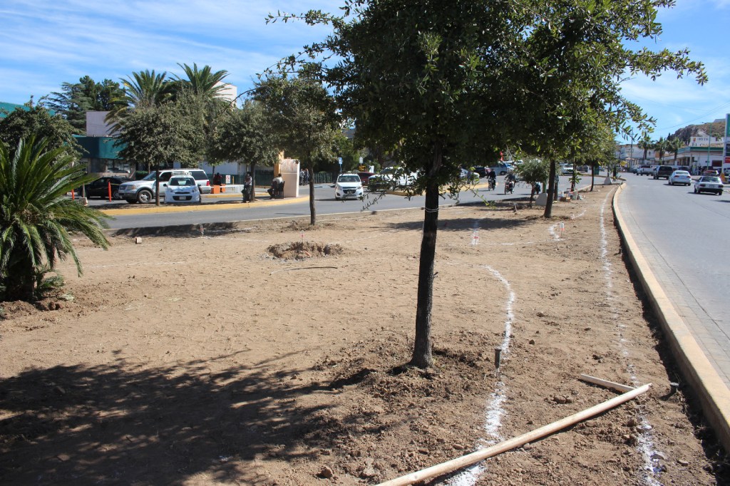 Inicia Gobierno de Parral con trabajos de remodelación en la Glorieta Ortiz&nbsp;Mena