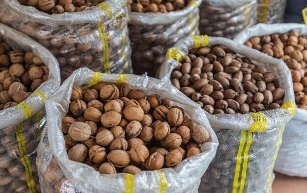 Cae producción de nuez 40%; hasta $90 el&nbsp;kilo