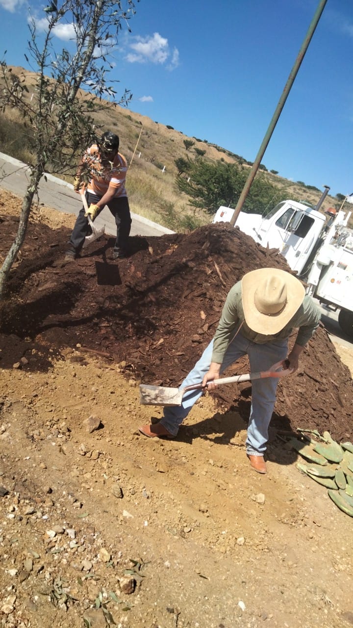 Intensa actividad de Desarrollo Urbano y Ecología en lo que va de la&nbsp;gestión