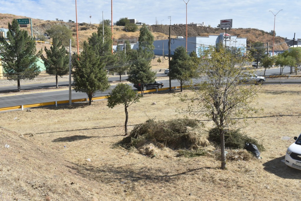 Servicios Públicos realiza acciones de deshierbe, poda y limpieza en el Distribuidor Vial Niños&nbsp;Héroes