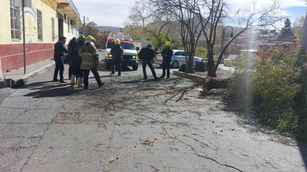 Atiende Bomberos y Protección Civil tres incidentes provocados por las ráfagas de&nbsp;viento