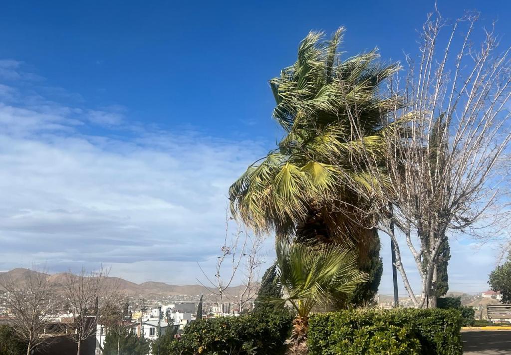 Alerta el Gobierno de Parral por ráfagas de viento hasta de 85 km/h para&nbsp;mañana