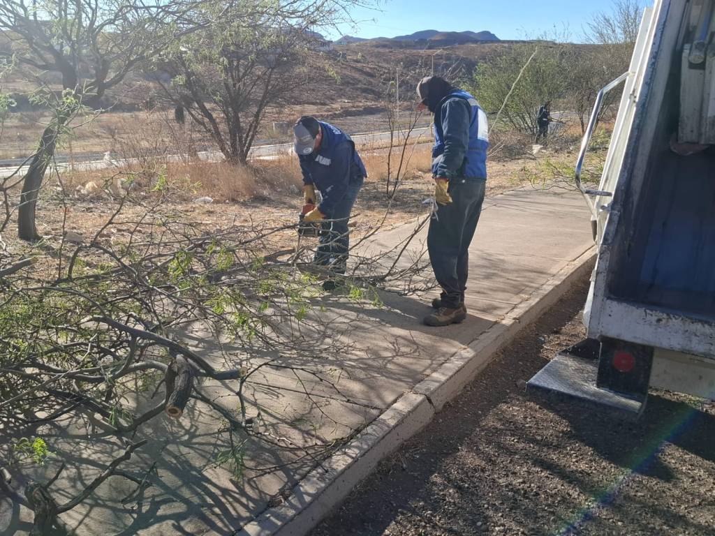 Comienza la campaña «Manos a la Obra: Transformando Juntos» en&nbsp;Parral