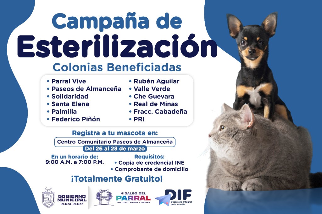 Arranca campaña gratuita de esterilización para mascotas en&nbsp;Parral