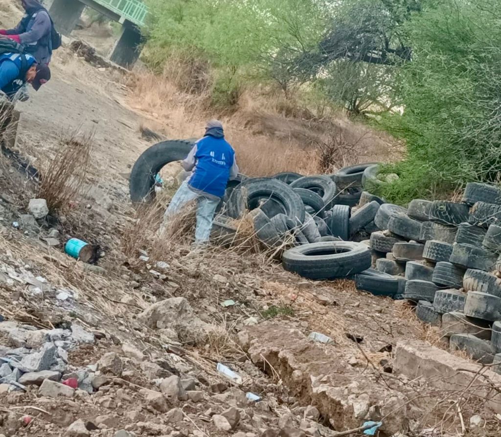 Reforzadas las labores de mantenimiento en áreas verdes y espacios públicos de&nbsp;Parral
