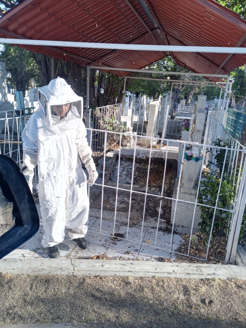 Gobierno de Parral informa cierre temporal del Panteón de&nbsp;Dolores