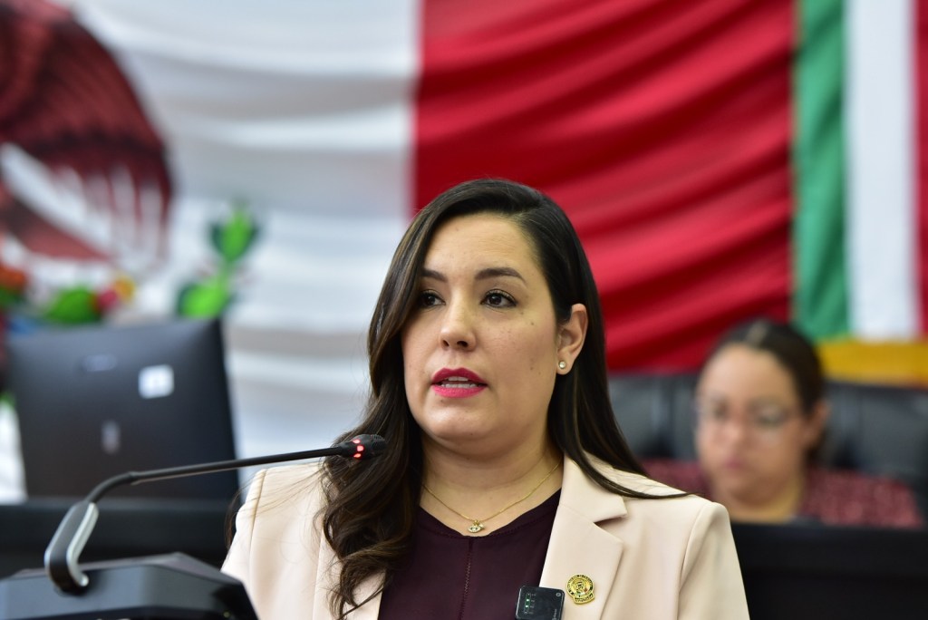 Diputados locales reforman leyes en materia de muerte perinatal y neonatal; así como de atención materno-infantil