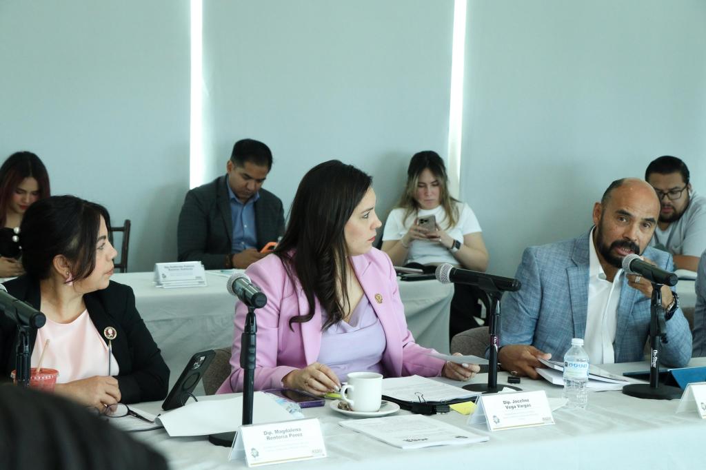 Dirige diputada Joss Vega mesa de trabajo para reformar Ley de Asentamientos&nbsp;Humanos