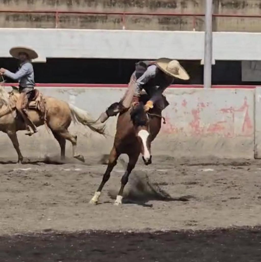 Racho Paulina de Parral, campeón del pre estatal de&nbsp;charrería