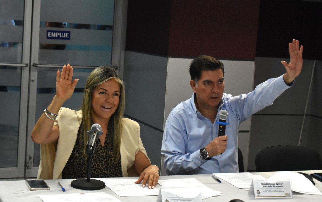 Anuncian foros para presentar resultados de la Mesa Técnica sobre reforma a la Ley de Bienestar&nbsp;Animal