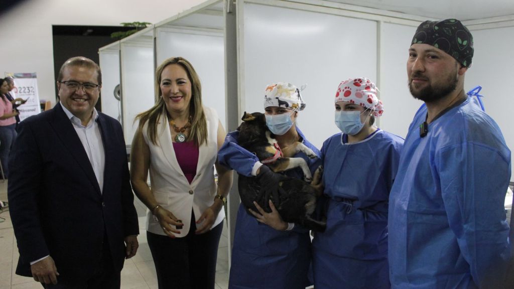 Jornada de esterilización en Parral inicia sin incidencias y con alta&nbsp;participación