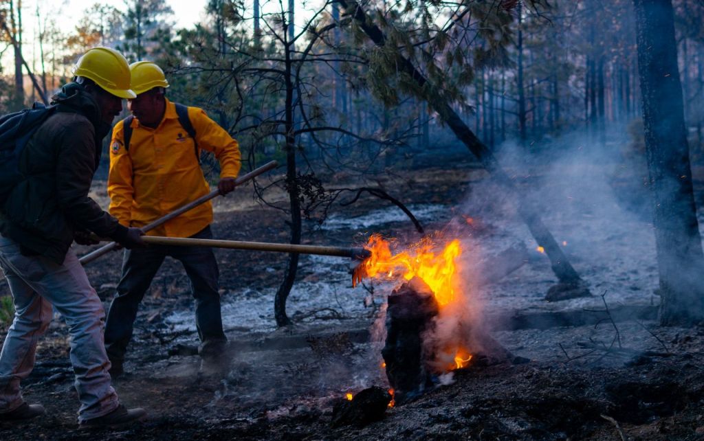 Liquidan combatientes incendio forestal en Guadalupe y&nbsp;Calvo
