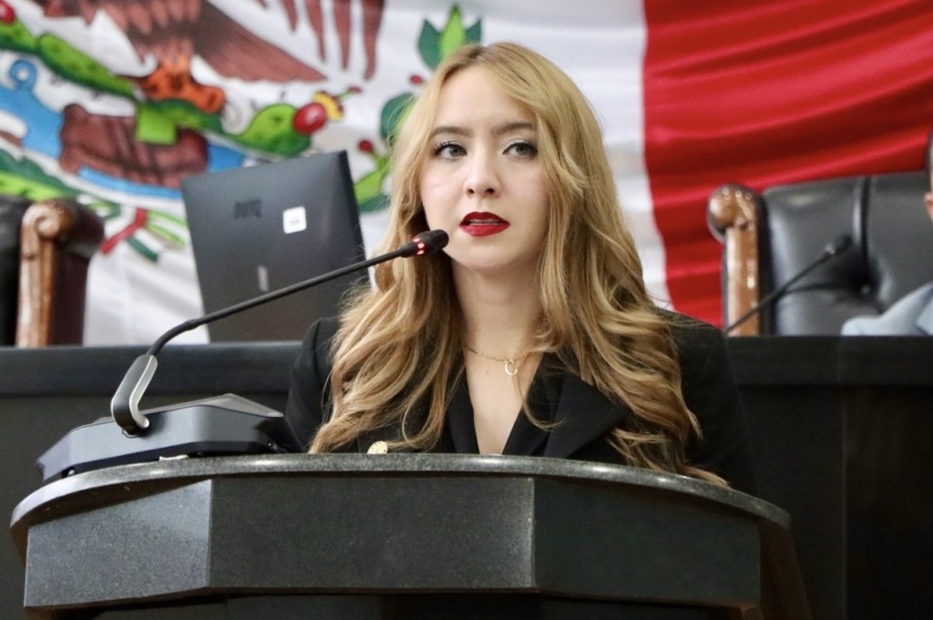 Desde Chihuahua alzamos la voz contra la Ley Espía: Diputada Carla&nbsp;Rivas