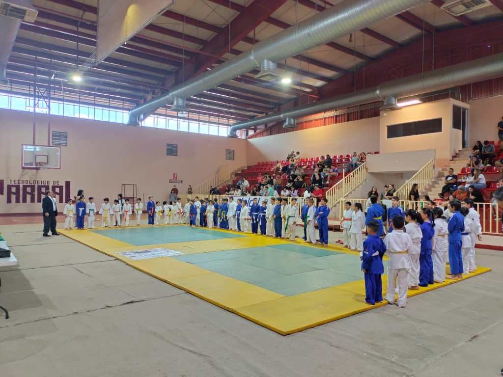 Luz verde al torneo inter club del Judo Kan&nbsp;Parral