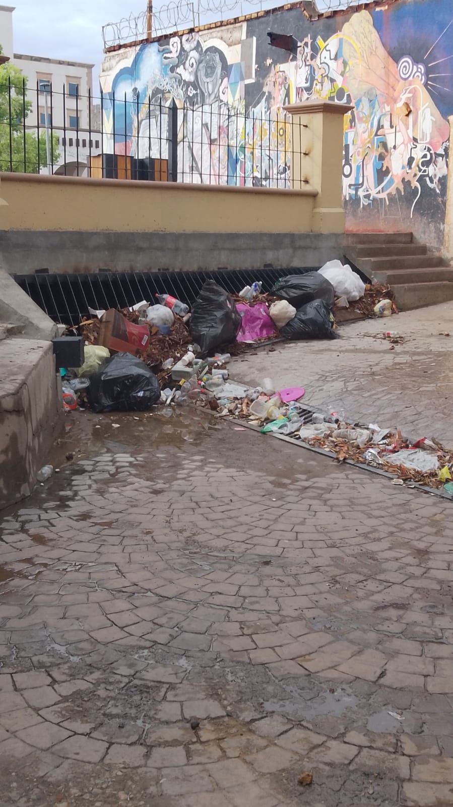 Gobierno de Parral exhorta a no tirar basura en la vía pública para prevenir&nbsp;inundaciones