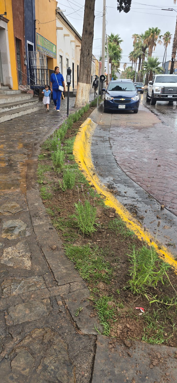 Intensifica Gobierno de Parral el embellecimiento de espacios&nbsp;públicos