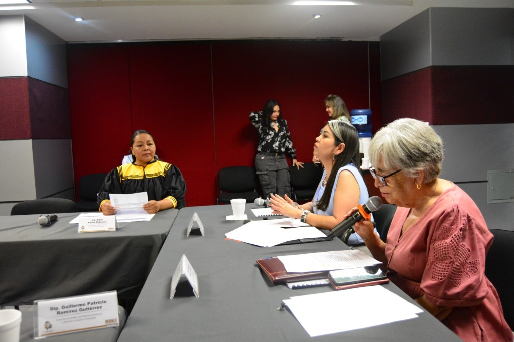 Recibe Comisión informe sobre Consulta Pública a Personas con Discapacidad&nbsp;2025