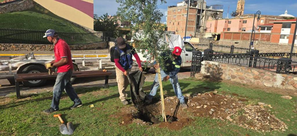 Embellece el DIF Municipal la imagen del Teatro&nbsp;Hidalgo
