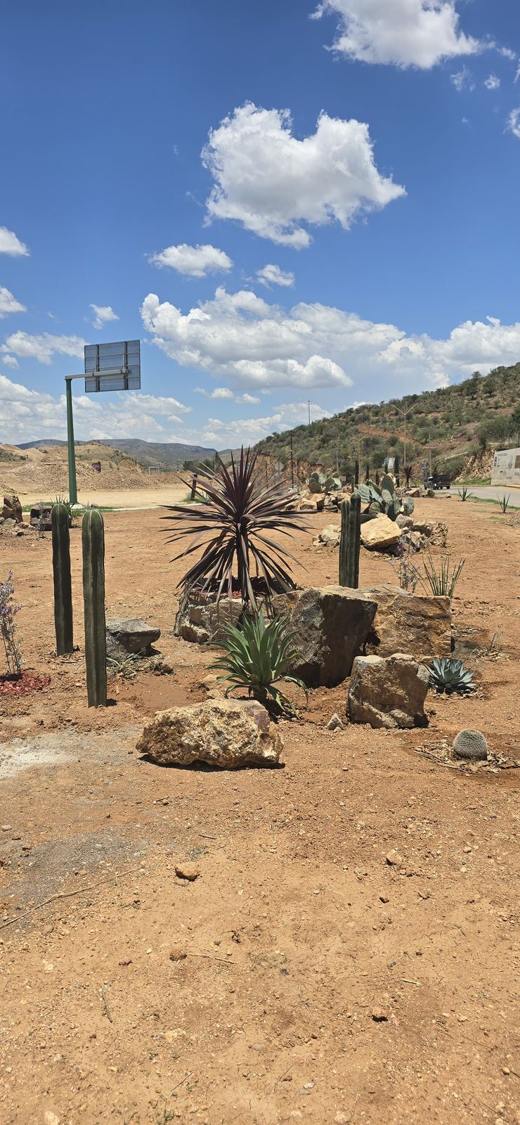Parral impulsa la sustentabilidad con nuevo jardín xerófilo en la Puerta del&nbsp;Tiempo