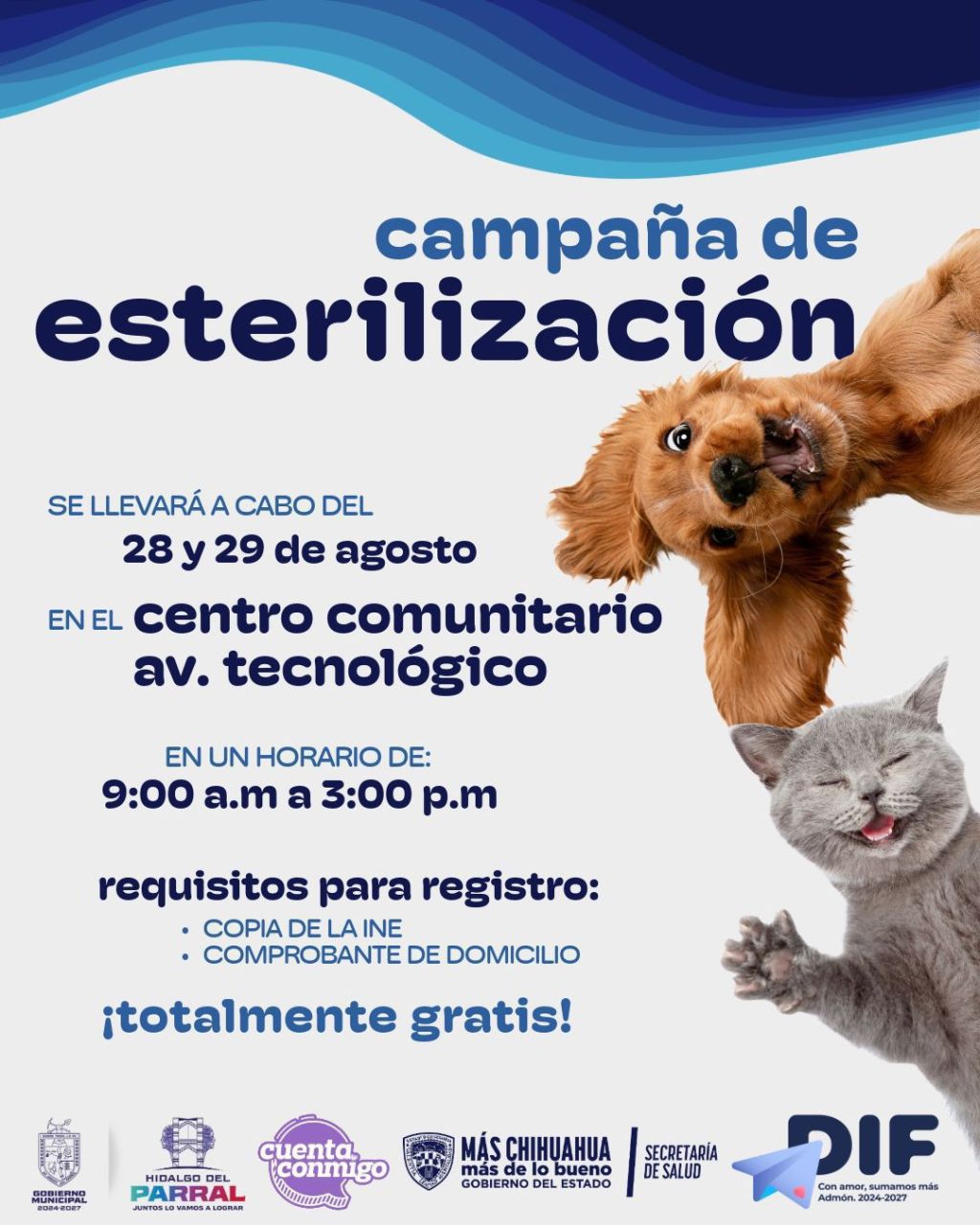 Gobierno de Parral anuncia campaña gratuita de esterilización de&nbsp;mascotas