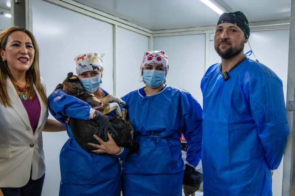 Gobierno de Salvador Calderón fortalece la protección animal con exitosas campañas de&nbsp;esterilización