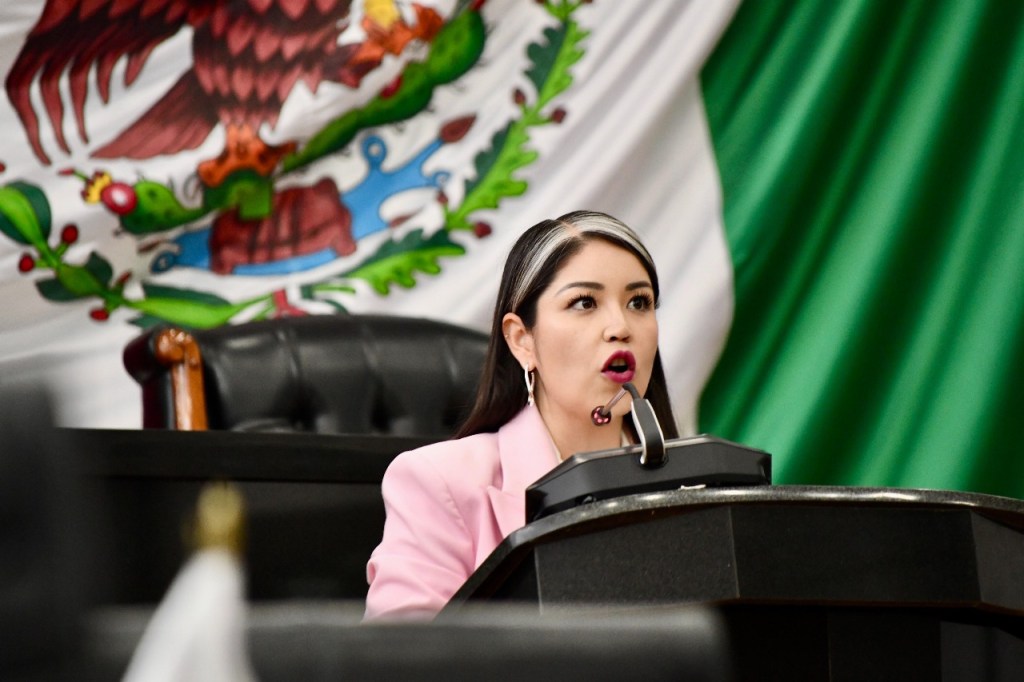 ”La Presidenta puede hablar de logros y de avances, pero mientras falten medicamentos y siga rodeada de corruptos y delincuentes NO HAY NADA QUE FESTEJAR”: Nancy La China&nbsp;Frías