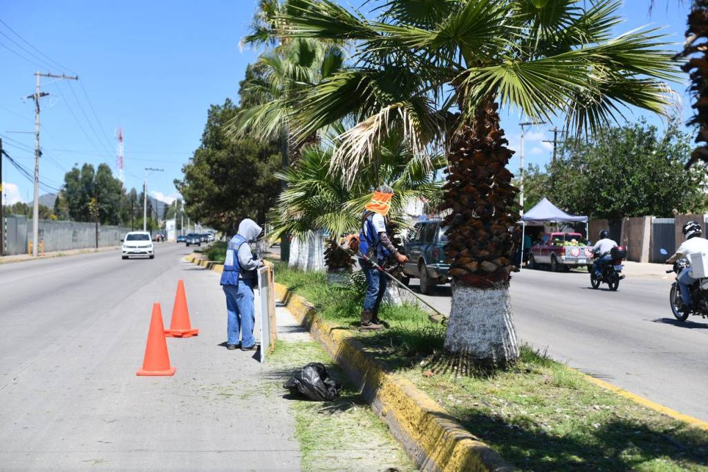 Servicio de Limpieza trabajará de forma normal este 16 de&nbsp;septiembre