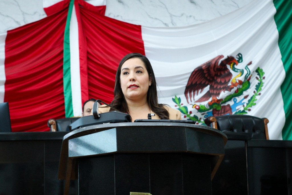 Plantea Joss Vega reforzar protección legal para mujeres adultas&nbsp;mayores